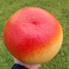 Pomelo Rosso del Vietnam