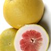 Pomelo Rosa Citrus grandis