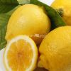 Limone Dolce del Brasile