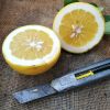 Red Lemon Citron