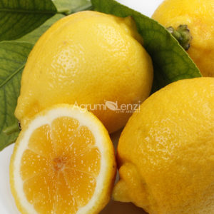 Limone Dolce del Brasile