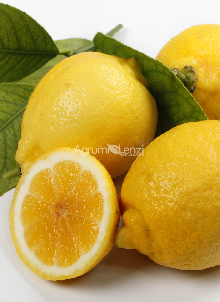Limone Dolce del Brasile